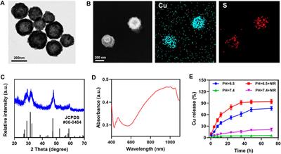 Injectable thermo-sensitive hydrogel loaded hollow copper sulfide nanoparticles for ROS burst in TME and effective tumor treatment